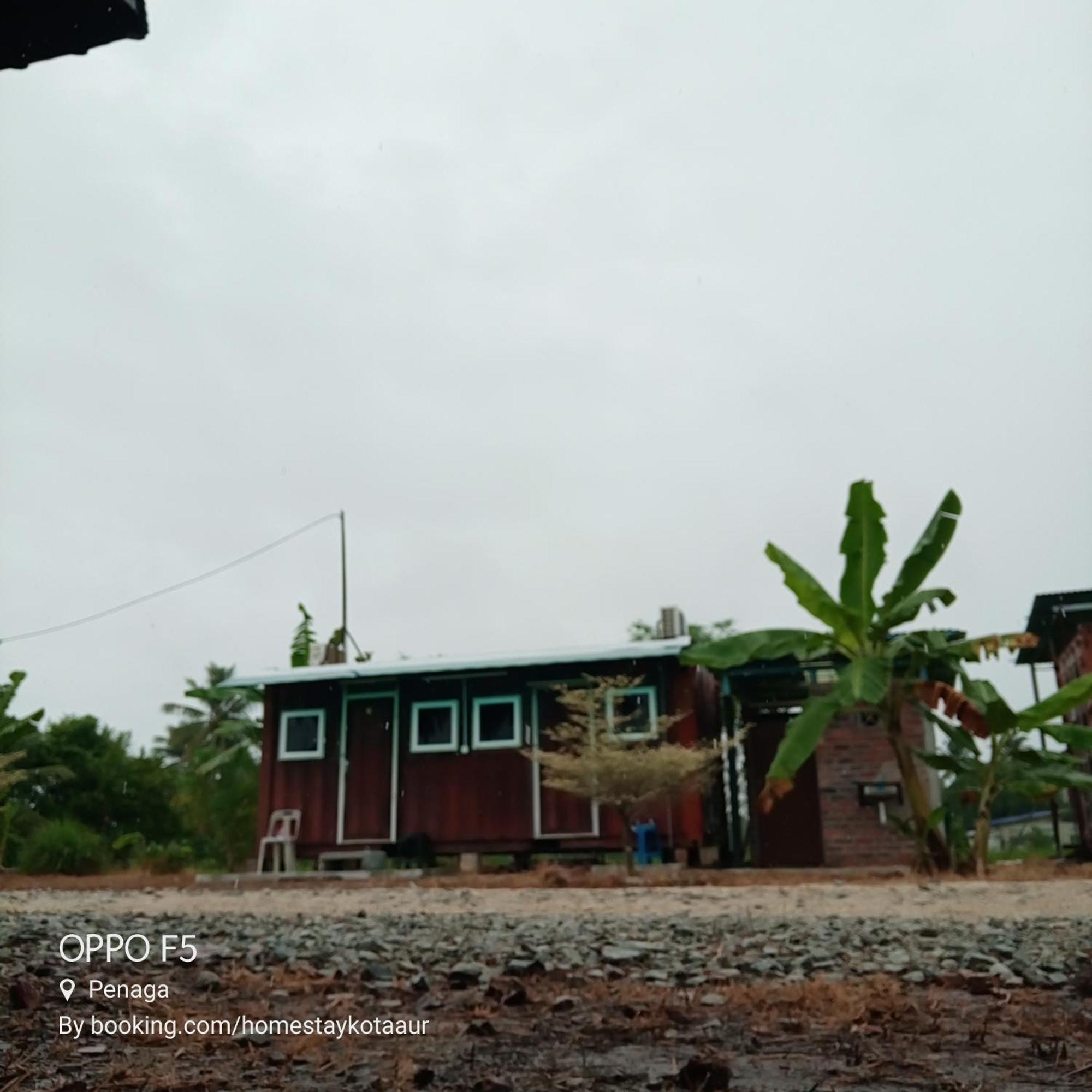 Vila Kampong Kota Aur With Swimming Pool, Kepala Batas, Seberang Perai, Penang